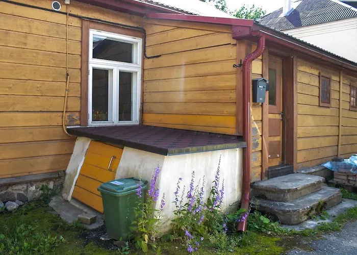 Cozy In The Old Town 公寓 维尔扬迪