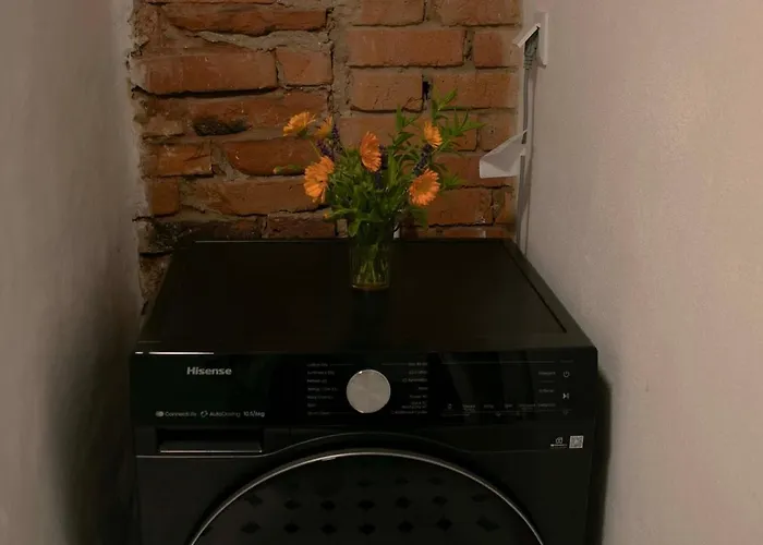 公寓 Cozy In The Old Town 维尔扬迪